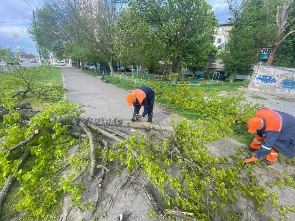 В Одесі вітер повалив майже 40 дерев: комунальники працюють у посиленому режимі