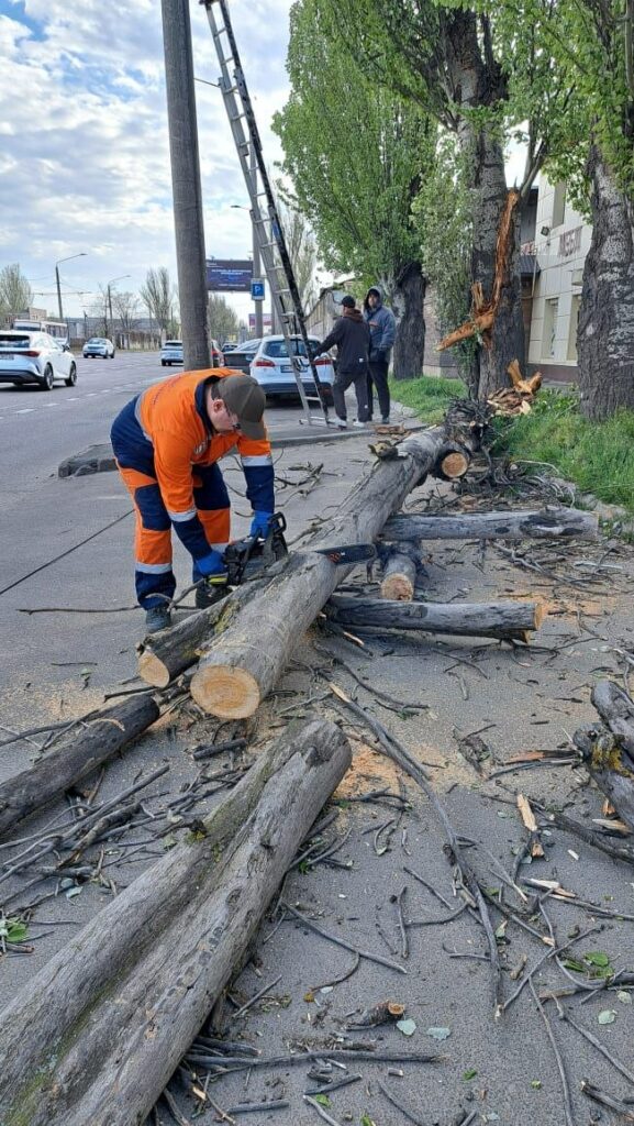 В Одесі вітер повалив майже 40 дерев: комунальники працюють у посиленому режимі