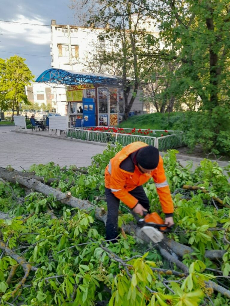 Непогода в Одессе: штормовой ветер повалил более полусотни деревьев