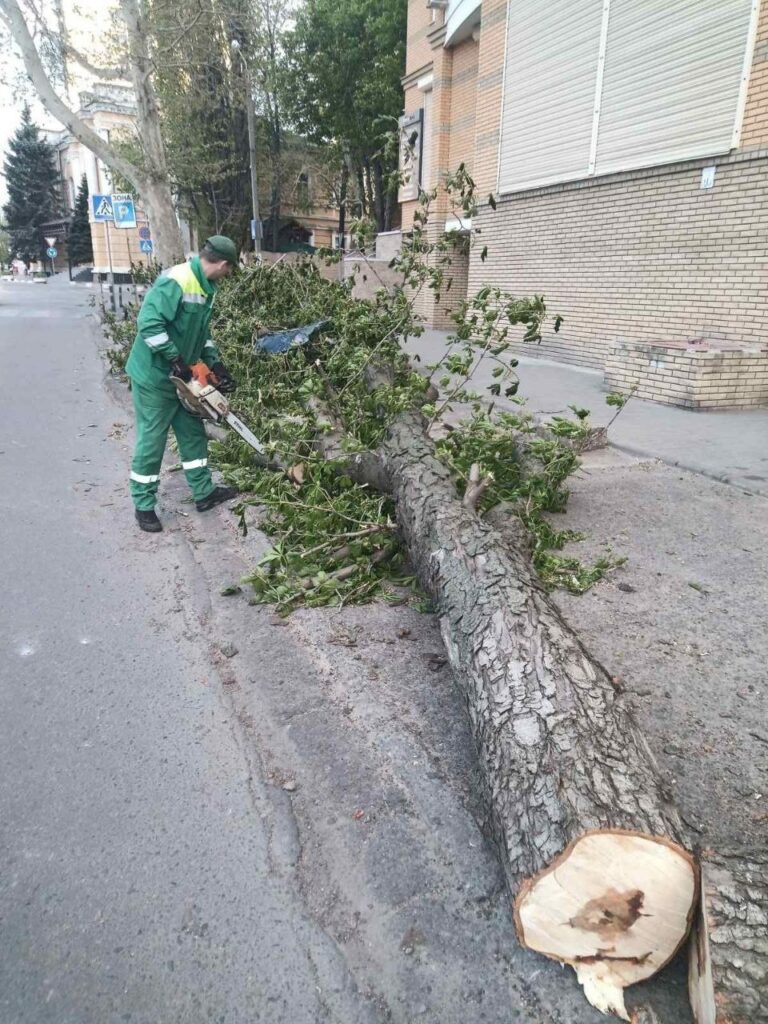 Непогода в Одессе: штормовой ветер повалил более полусотни деревьев