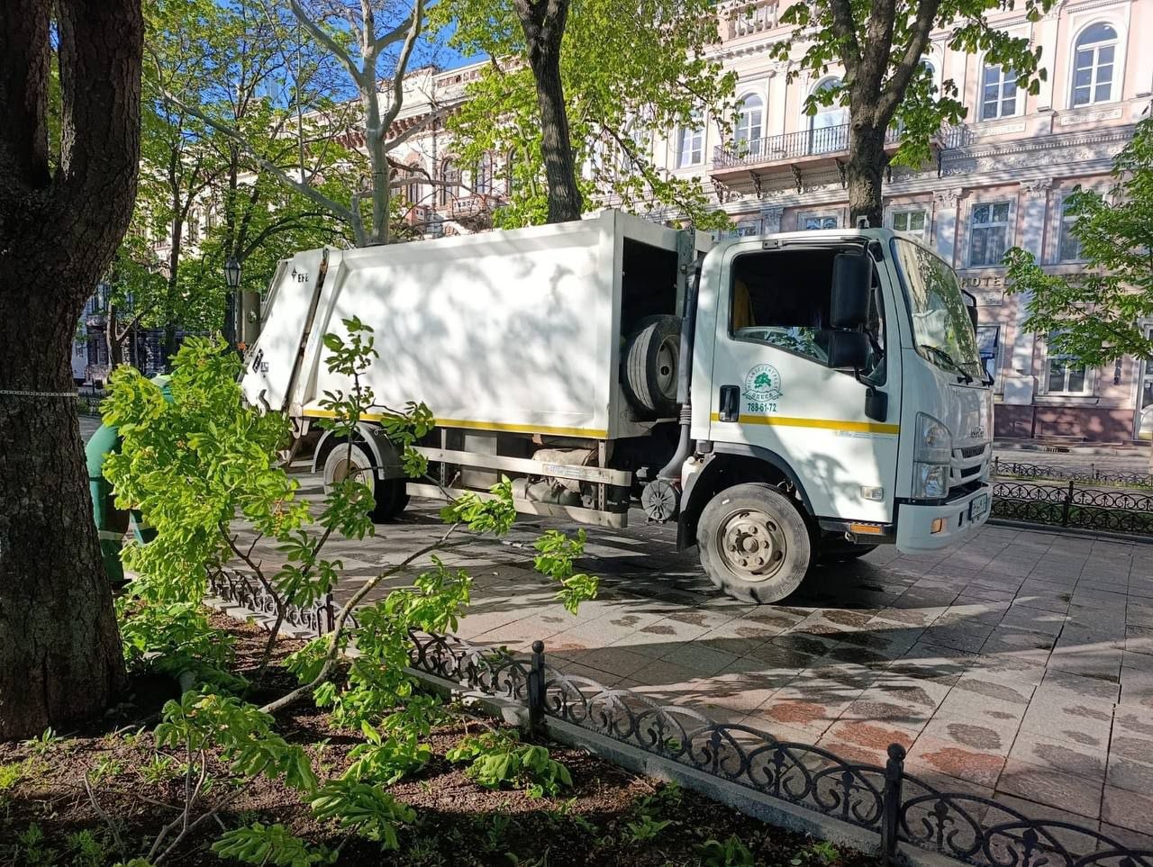 В Одессе штормовой ветер повалил 85 деревьев и крупных веток (фото)