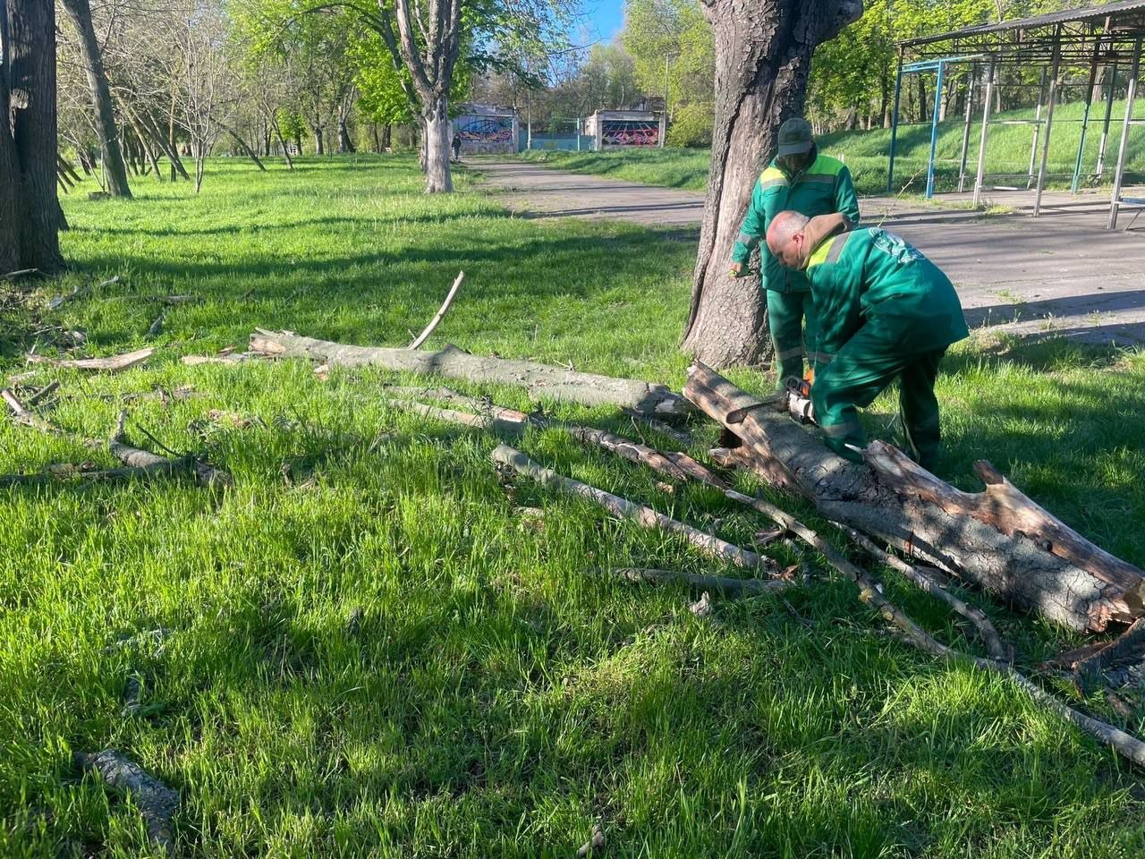В Одессе штормовой ветер повалил 85 деревьев и крупных веток (фото)