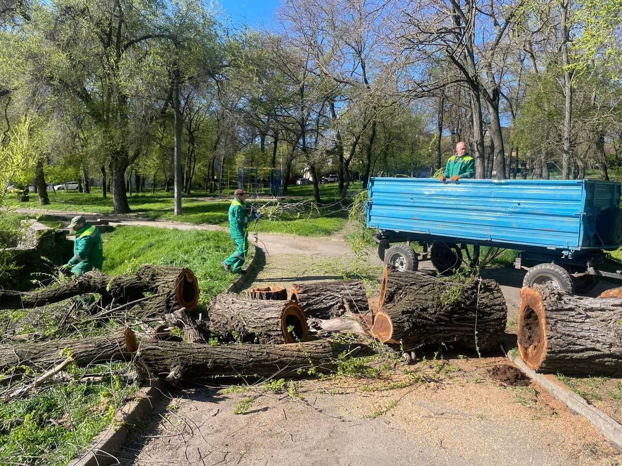 В Одессе штормовой ветер повалил 85 деревьев и крупных веток (фото)