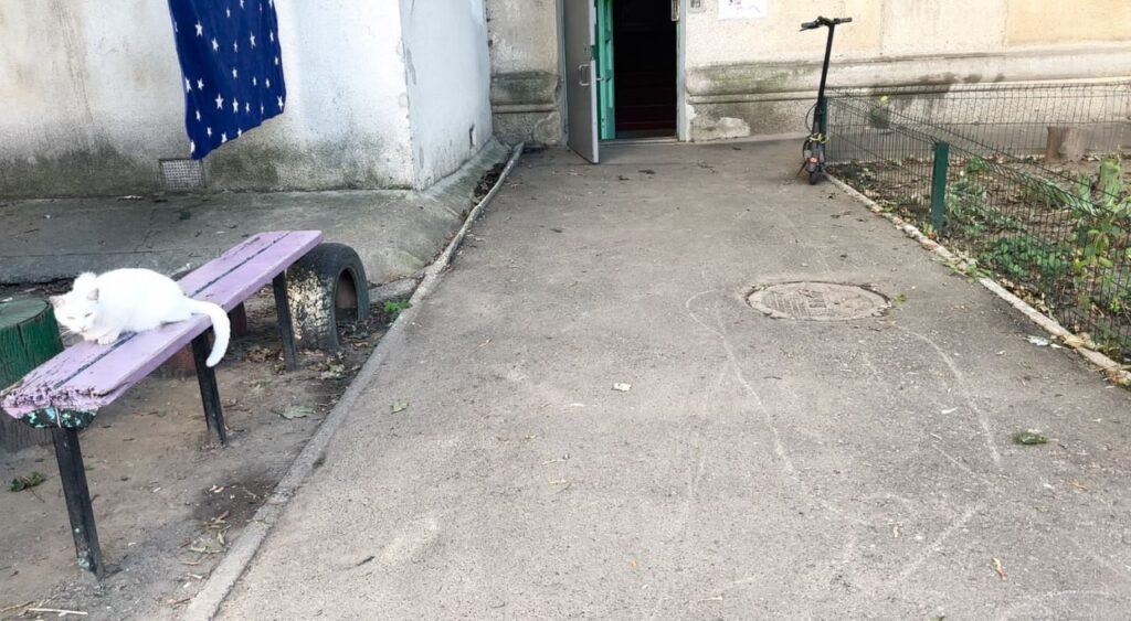 Вийти з власного дому: наскільки одеське житло пристосоване для людей з інвалідністю Вийти з власного дому: наскільки одеське житло пристосоване для людей з інвалідністю