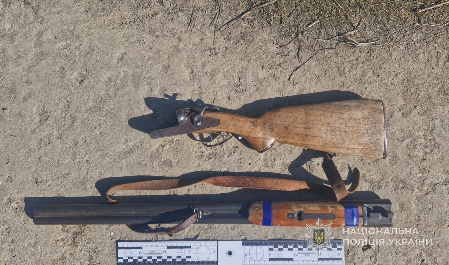 Жителю Одесской области, который выстрелил в собаку с щенками, сообщили о подозрении