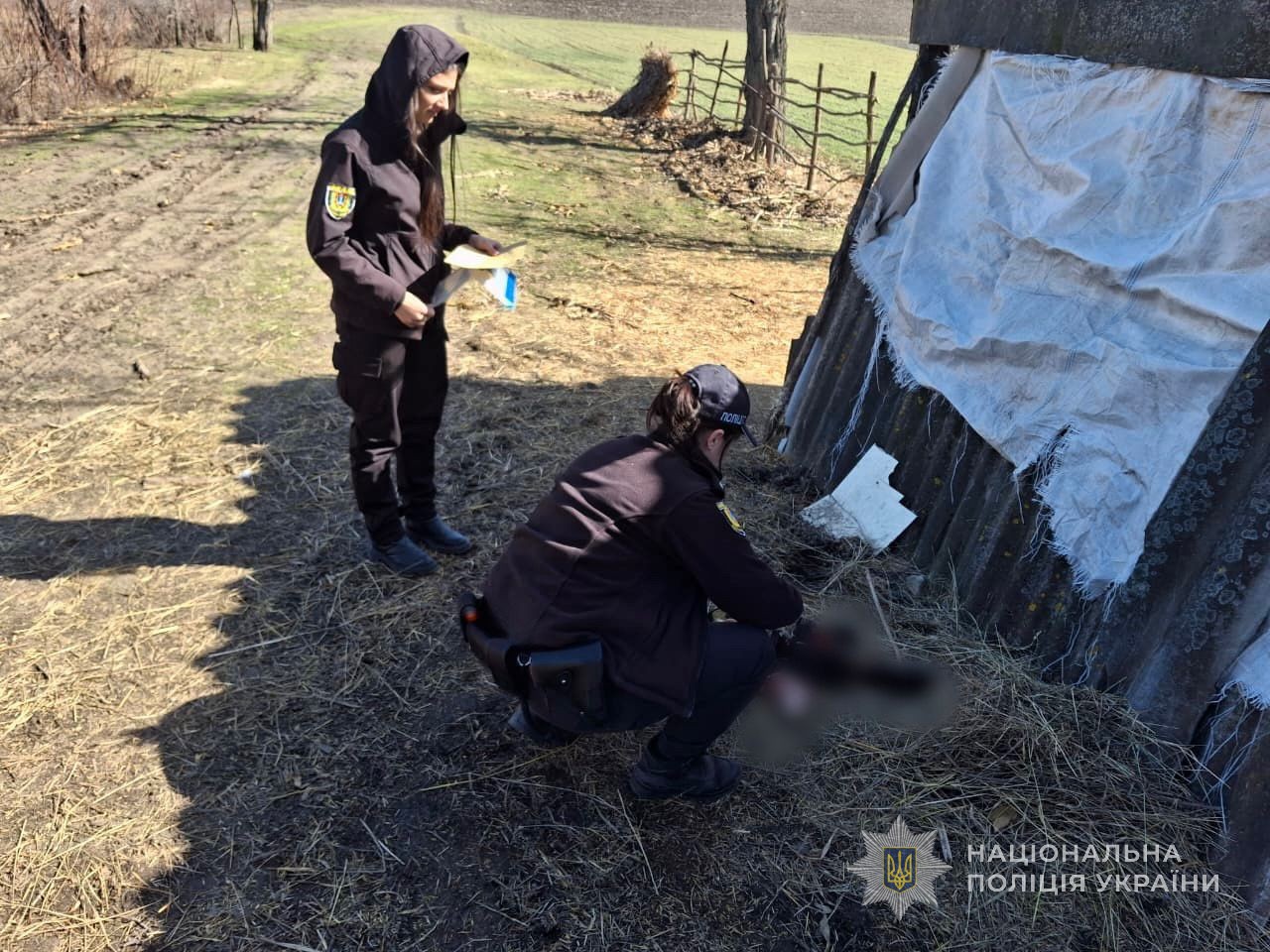 Жителю Одесской области, который выстрелил в собаку с щенками, сообщили о подозрении