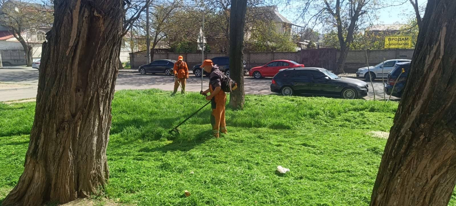 В Одессе коммунальщики косят траву во всех районах города В Одессе коммунальщики косят траву во всех районах города