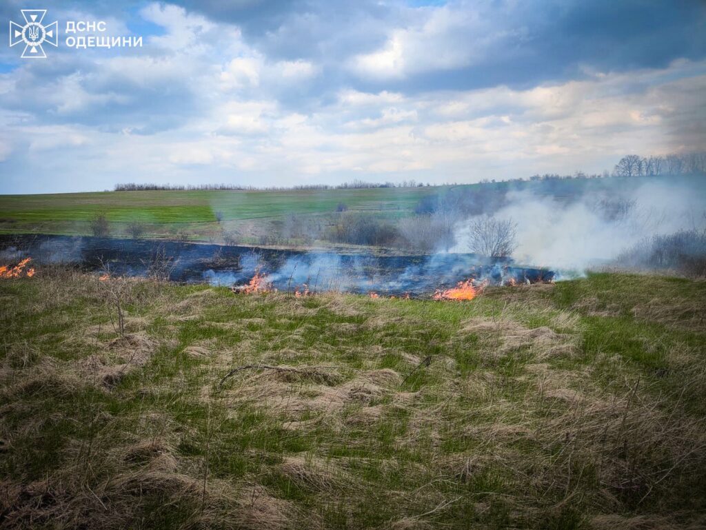 Збитки від пожеж в екосистемах Одещини перевищили 168 мільйонів гривень Ущерб от пожаров в экосистемах Одесской области превысил 168 миллионов гривен