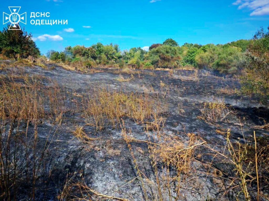 Збитки від пожеж в екосистемах Одещини перевищили 168 мільйонів гривень Ущерб от пожаров в экосистемах Одесской области превысил 168 миллионов гривен