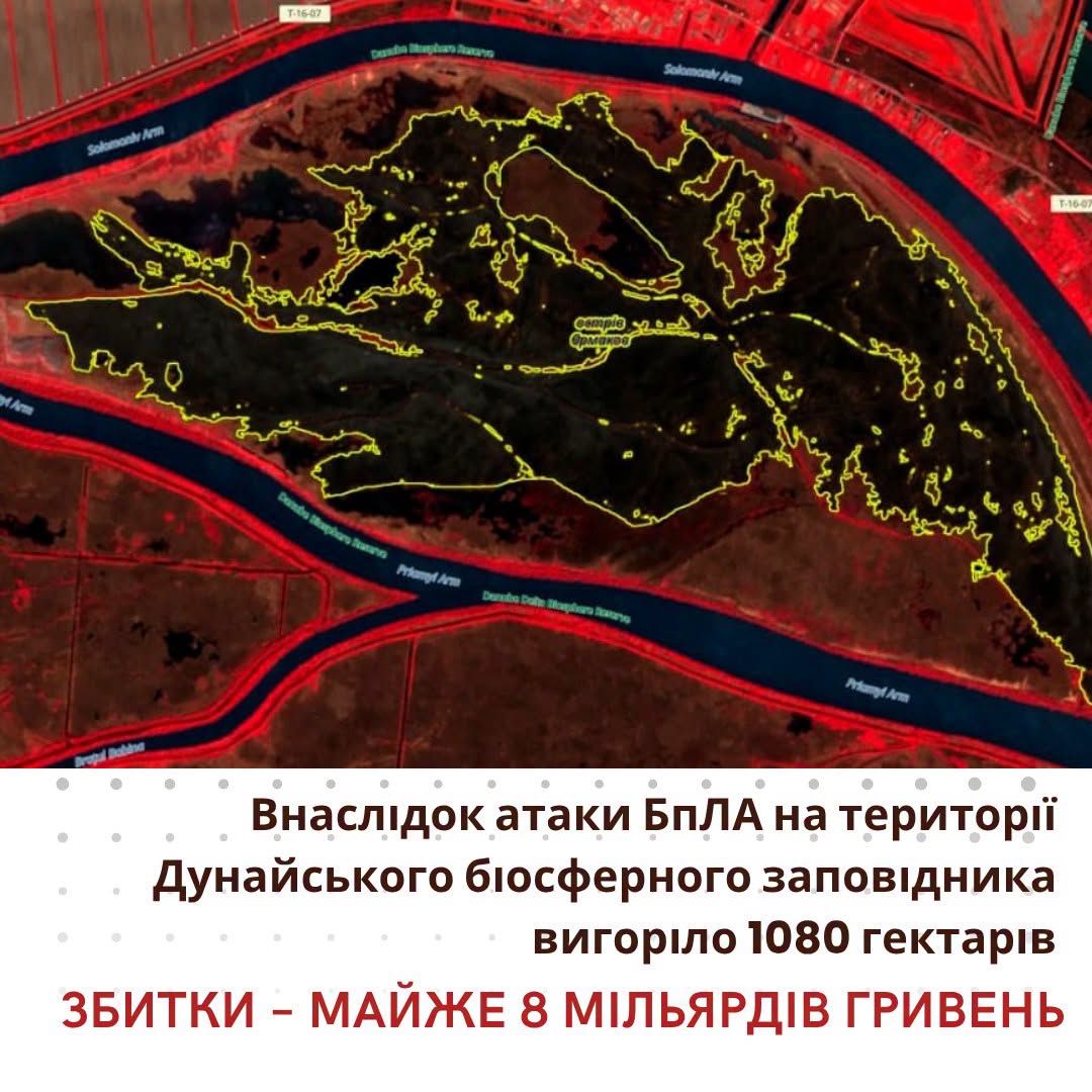 В Одесской области из-за падения сбитого БПЛА выгорело более 1000 гектаров заповедника