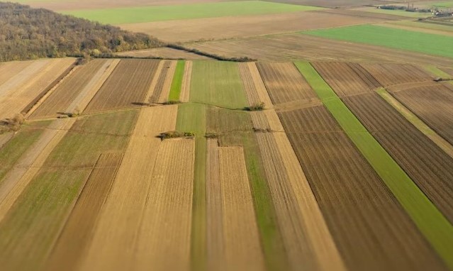 Одещина увійшла до п’ятірки регіонів із найнижчими цінами на сільськогосподарську землю