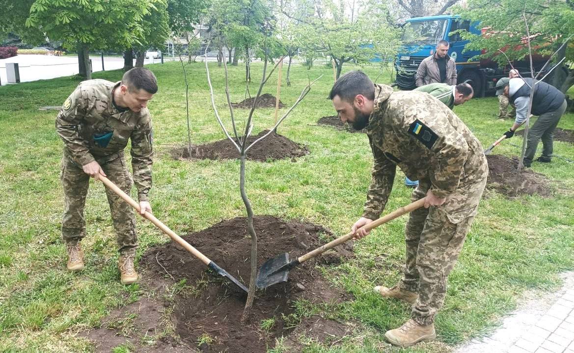 В Одессе высадили деревья в честь украинских защитников В Одессе высадили деревья в честь украинских защитников