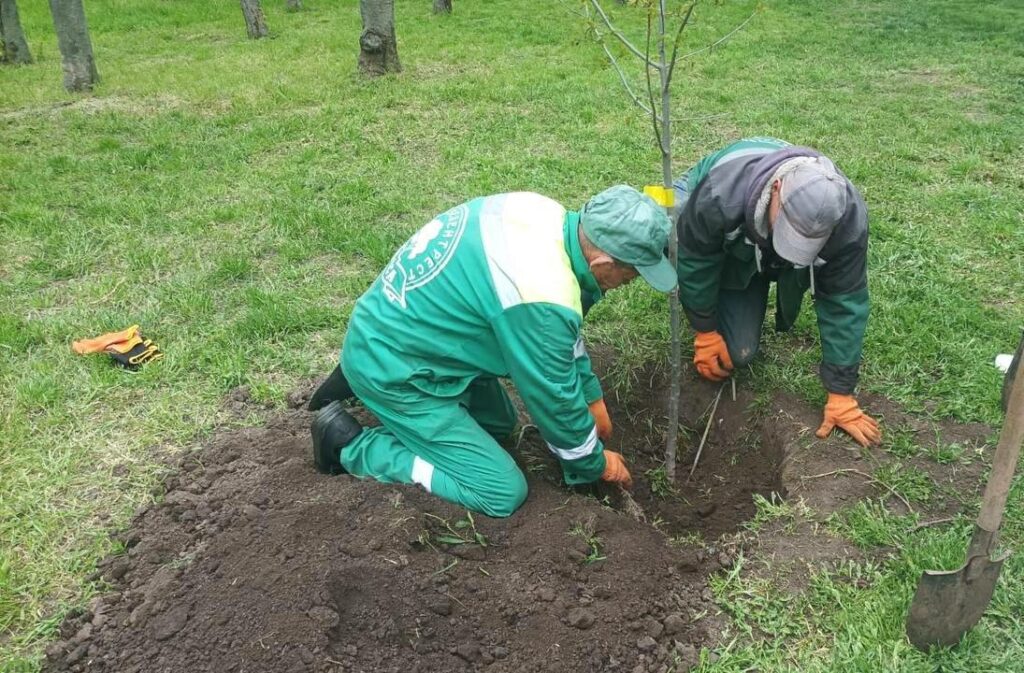 В Одесі висадили дерева на честь українських захисників (фото)