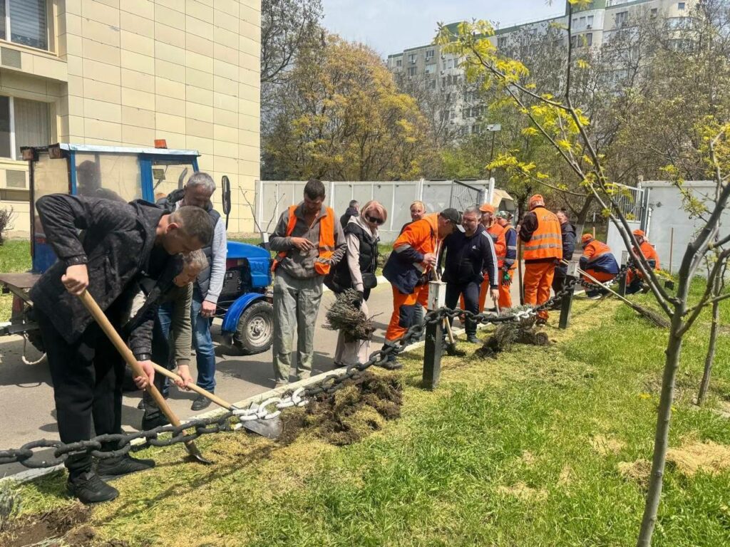 В Одесі висадили дерева на честь українських захисників (фото)