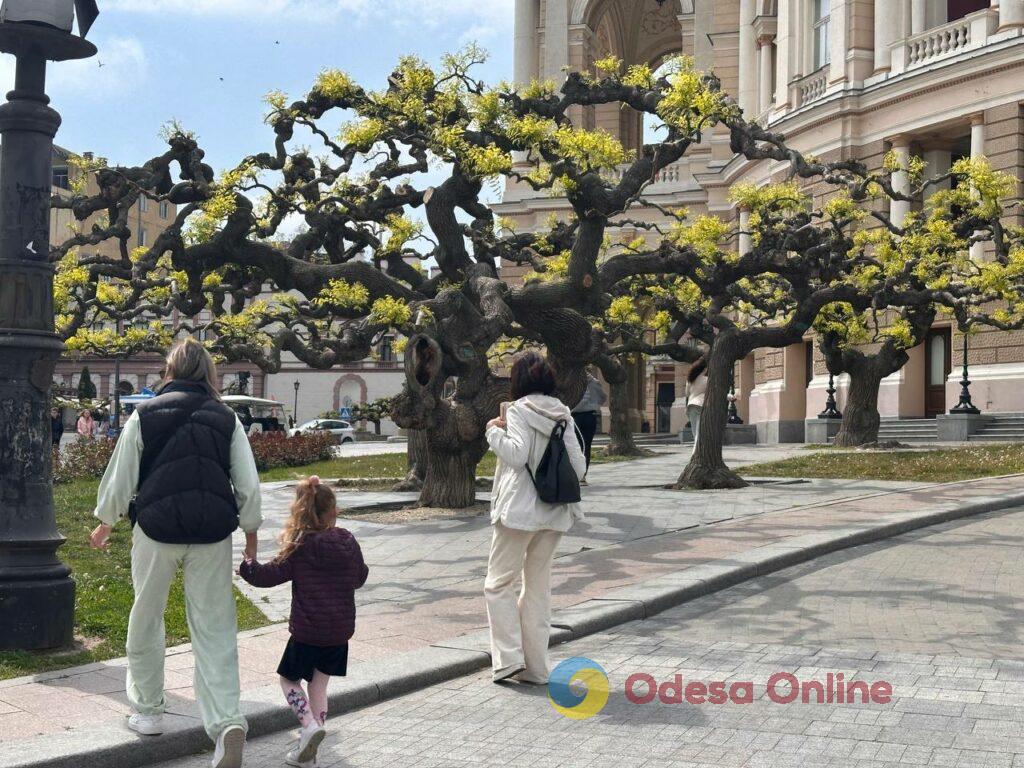 Початок травня в Одесі (фоторепортаж) Начало мая в Одессе (фоторепортаж)