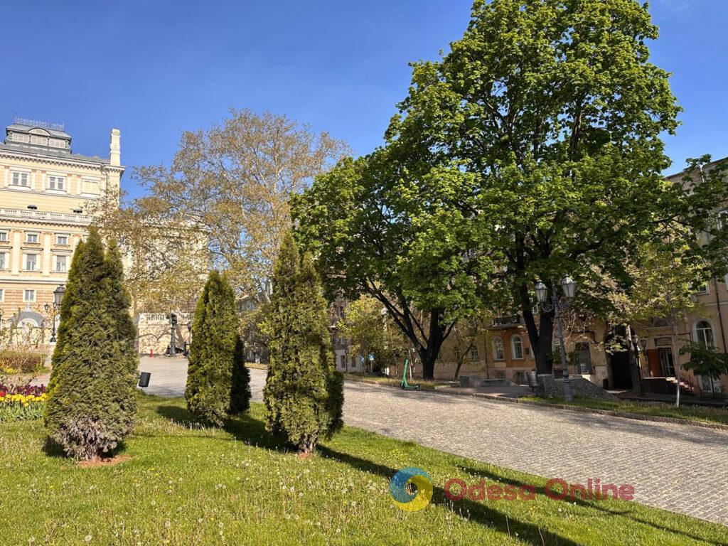Початок травня в Одесі (фоторепортаж) Начало мая в Одессе (фоторепортаж)