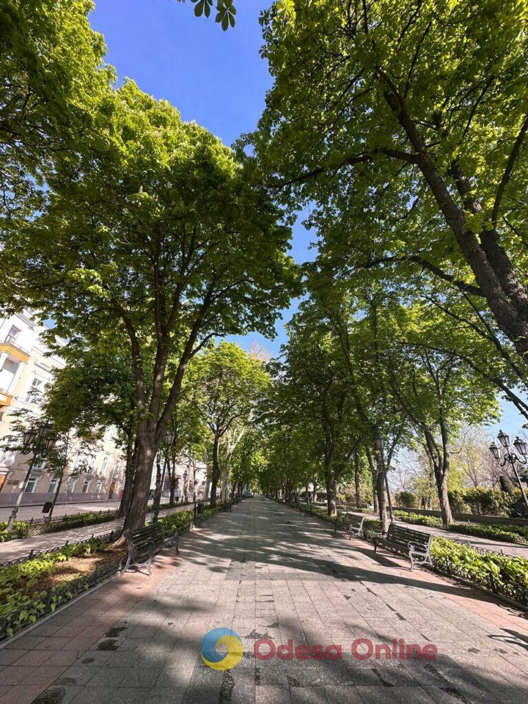 Початок травня в Одесі (фоторепортаж) Начало мая в Одессе (фоторепортаж)