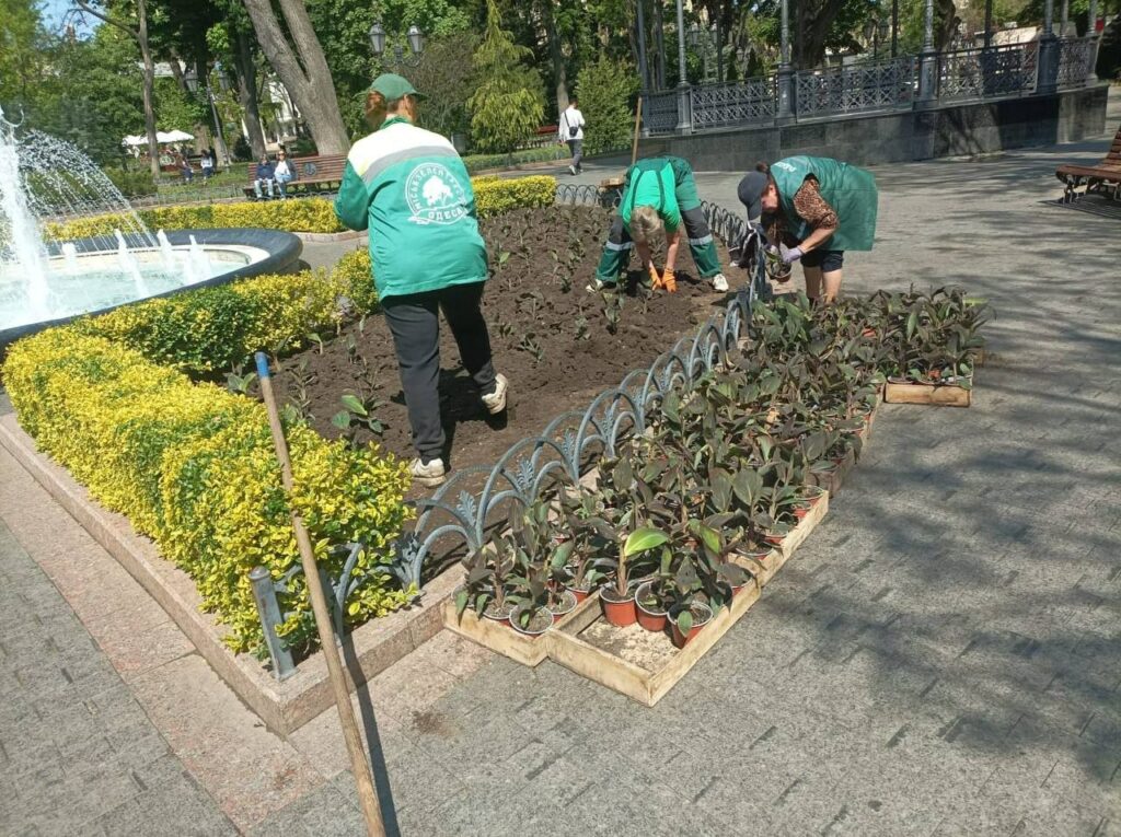 Тропіки в центрі Одеси: Міський сад прикрасять тисячею екзотичних канн Тропики в центре Одессы: Городской сад украсят тысячей экзотических канн
