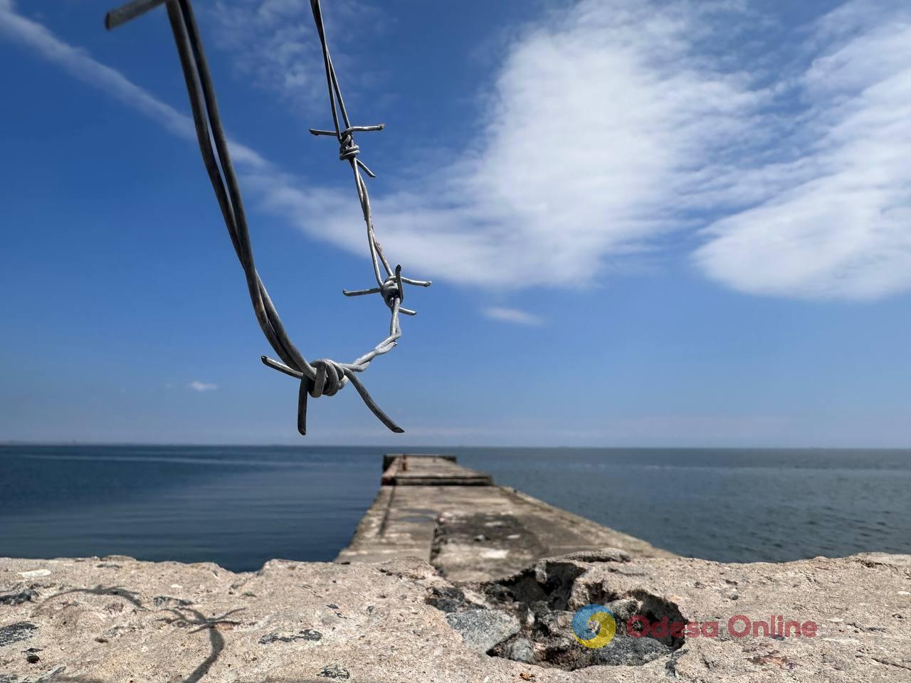 Фото тижня в Одесі: квітучі акації, перші купання в морі та наслідки ворожих атак Фото тижня в Одесі: квітучі акації, перші купання в морі та наслідки ворожих атак