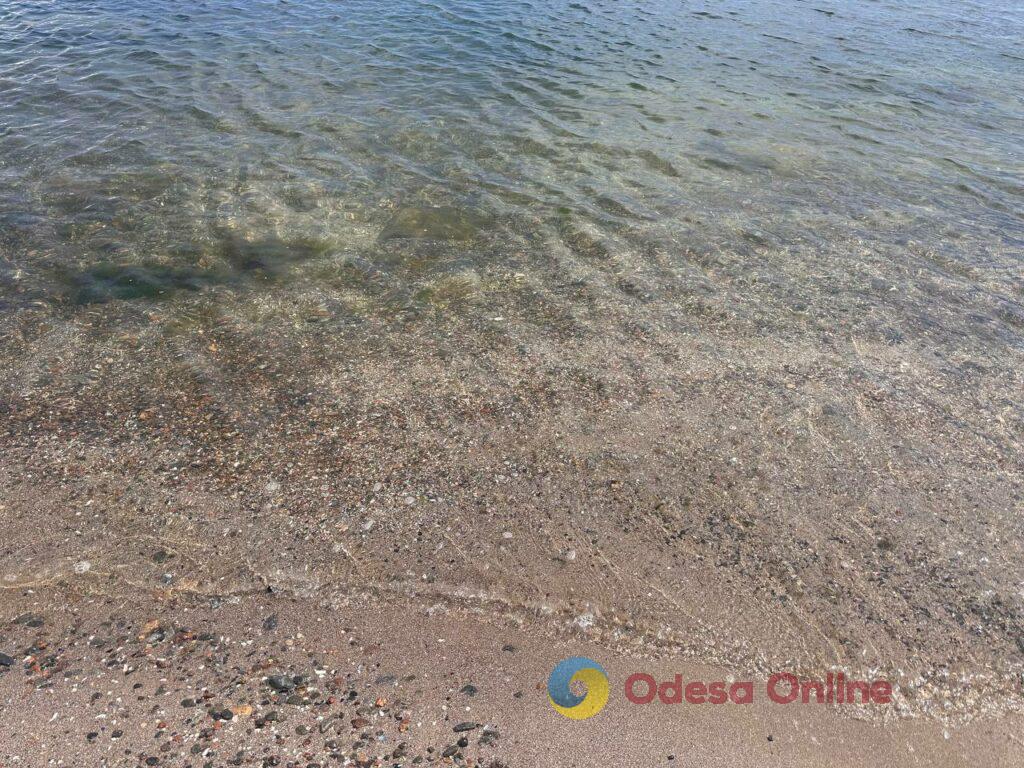 Фото тижня в Одесі: квітучі акації, перші купання в морі та наслідки ворожих атак Фото тижня в Одесі: квітучі акації, перші купання в морі та наслідки ворожих атак