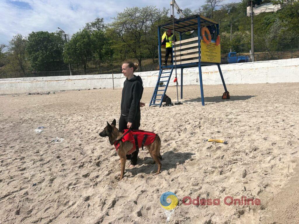 Підготовка пляжів до літа: в Одесі обстежують дно моря та розгортають нові укриття Подготовка пляжей к лету: в Одессе обследуют дно моря и разворачивают новые укрытия