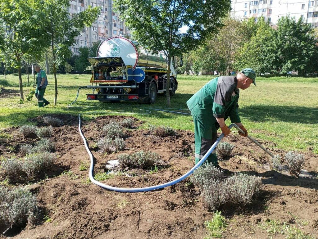 В Одесі висадили 230 кущів лаванди на честь полеглих Героїв В Одессе высадили 230 кустов лаванды в честь павших Героев