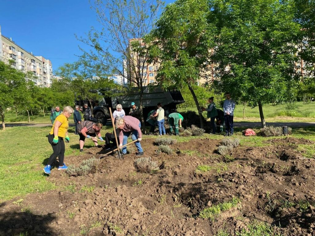 В Одесі висадили 230 кущів лаванди на честь полеглих Героїв В Одессе высадили 230 кустов лаванды в честь павших Героев