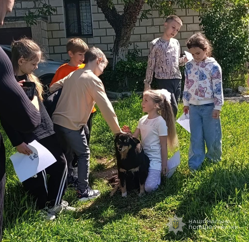 Як допомагати безпритульним тваринам: на Одещині школярів навчали гуманному ставленню до чотирилапих Як допомагати безпритульним тваринам: на Одещині школярів навчали гуманному ставленню до чотирилапих