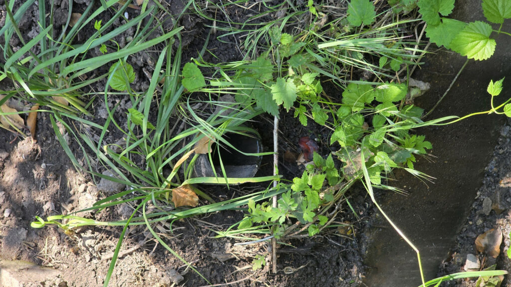 Для Хуторській в Одесі розроблять нову систему водовідведення Для Хуторській в Одесі розроблять нову систему водовідведення