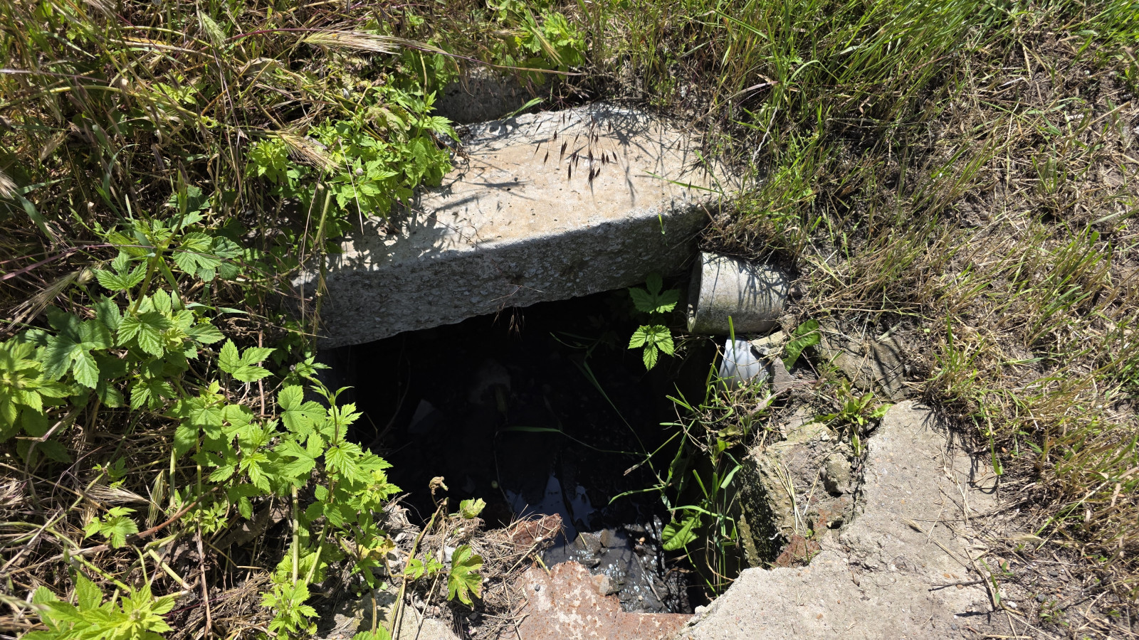 Для Хуторській в Одесі розроблять нову систему водовідведення Для Хуторській в Одесі розроблять нову систему водовідведення