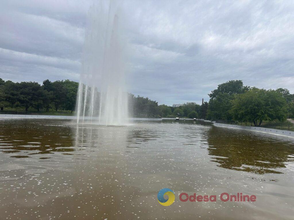 Одеса в об’єктиві: квітучі парки, чергові «прильоти» та фірмовий місцевий гумор Одеса в об’єктиві: квітучі парки, чергові «прильоти» та фірмовий місцевий гумор