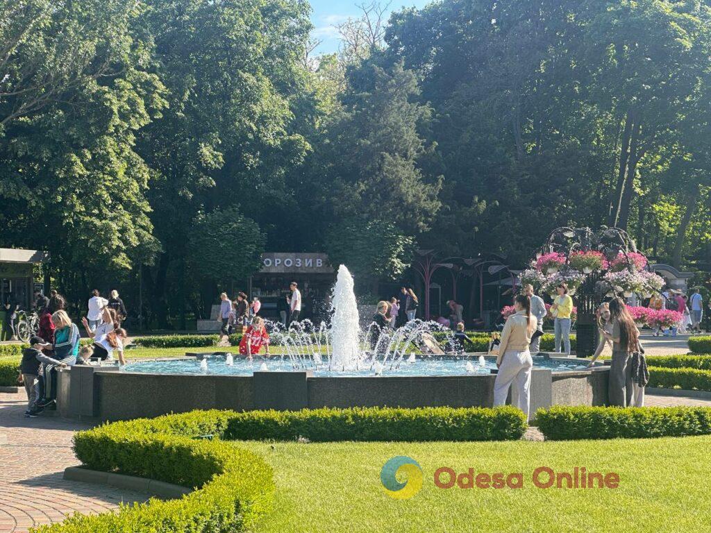 Одеса в об’єктиві: квітучі парки, чергові «прильоти» та фірмовий місцевий гумор Одеса в об’єктиві: квітучі парки, чергові «прильоти» та фірмовий місцевий гумор