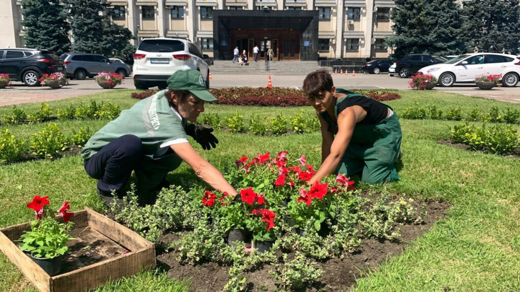 Понад 1700 молодих софор, кипарисів та платанів висадили в Одесі з початку року Более 1700 молодых софор, кипарисов и платанов высадили в Одессе с начала года