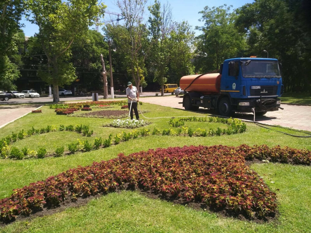 Понад 1700 молодих софор, кипарисів та платанів висадили в Одесі з початку року Более 1700 молодых софор, кипарисов и платанов высадили в Одессе с начала года