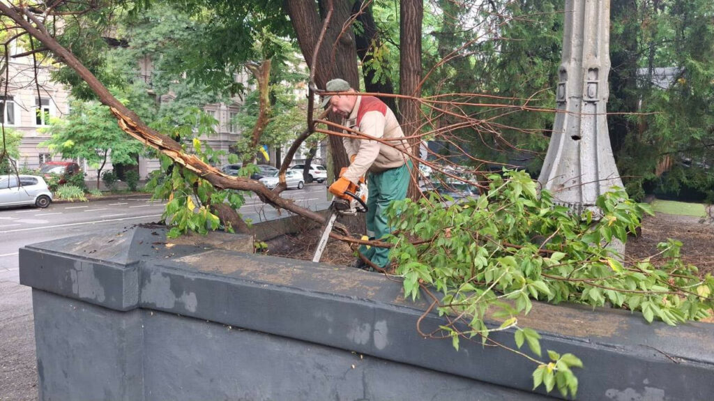 Унаслідок шторму в Одесі впало 20 дерев: комунальники ліквідовують наслідки Унаслідок шторму в Одесі впало 20 дерев: комунальники ліквідовують наслідки