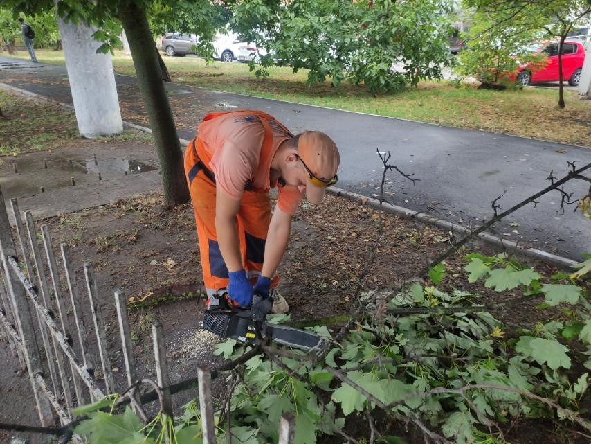 Унаслідок шторму в Одесі впало 20 дерев: комунальники ліквідовують наслідки Унаслідок шторму в Одесі впало 20 дерев: комунальники ліквідовують наслідки