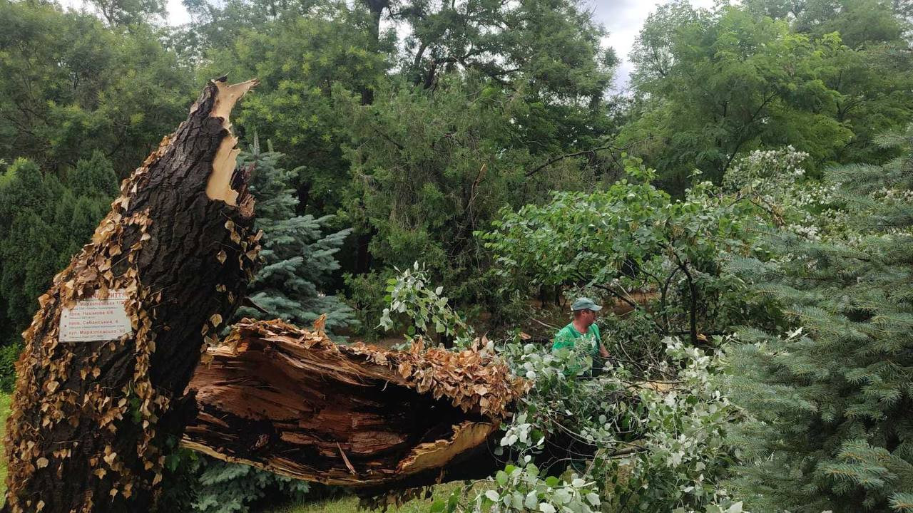 Унаслідок шторму в Одесі впало 20 дерев: комунальники ліквідовують наслідки Унаслідок шторму в Одесі впало 20 дерев: комунальники ліквідовують наслідки