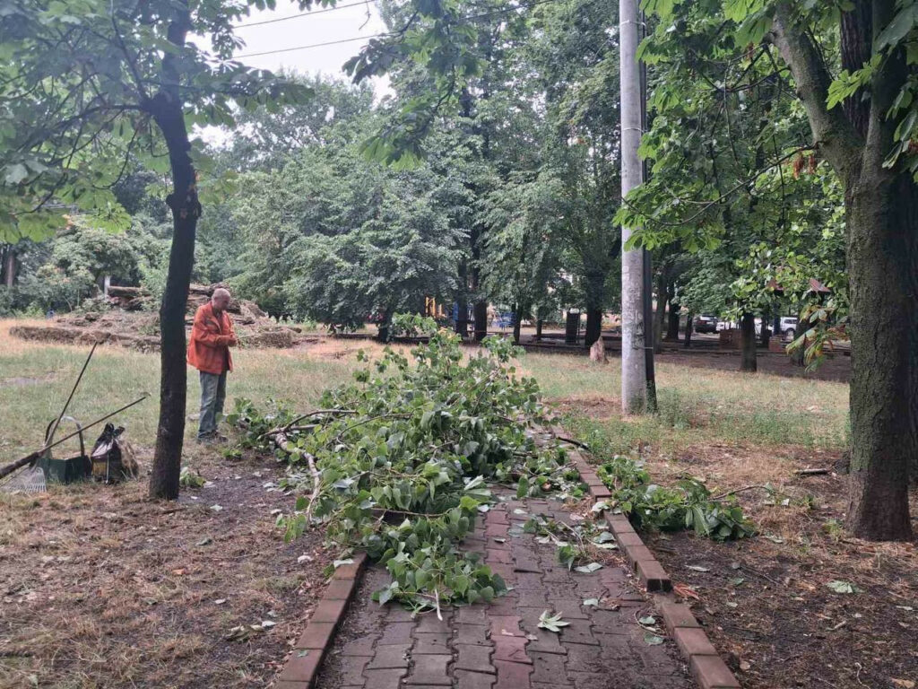 Унаслідок шторму в Одесі впало 20 дерев: комунальники ліквідовують наслідки Унаслідок шторму в Одесі впало 20 дерев: комунальники ліквідовують наслідки