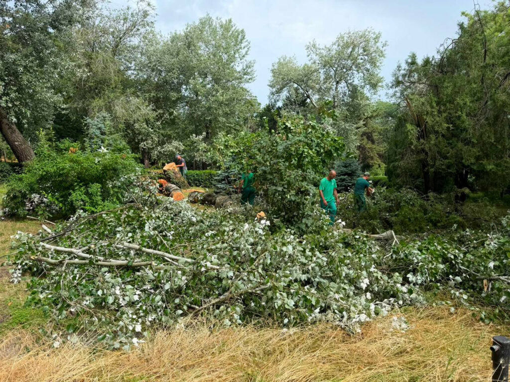 Унаслідок шторму в Одесі впало 20 дерев: комунальники ліквідовують наслідки Унаслідок шторму в Одесі впало 20 дерев: комунальники ліквідовують наслідки