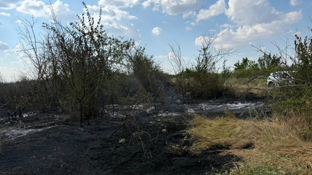 На Одещині загорілося сміттєзвалище: вогонь перекинувся на ліс На Одещині загорілося сміттєзвалище: вогонь перекинувся на ліс