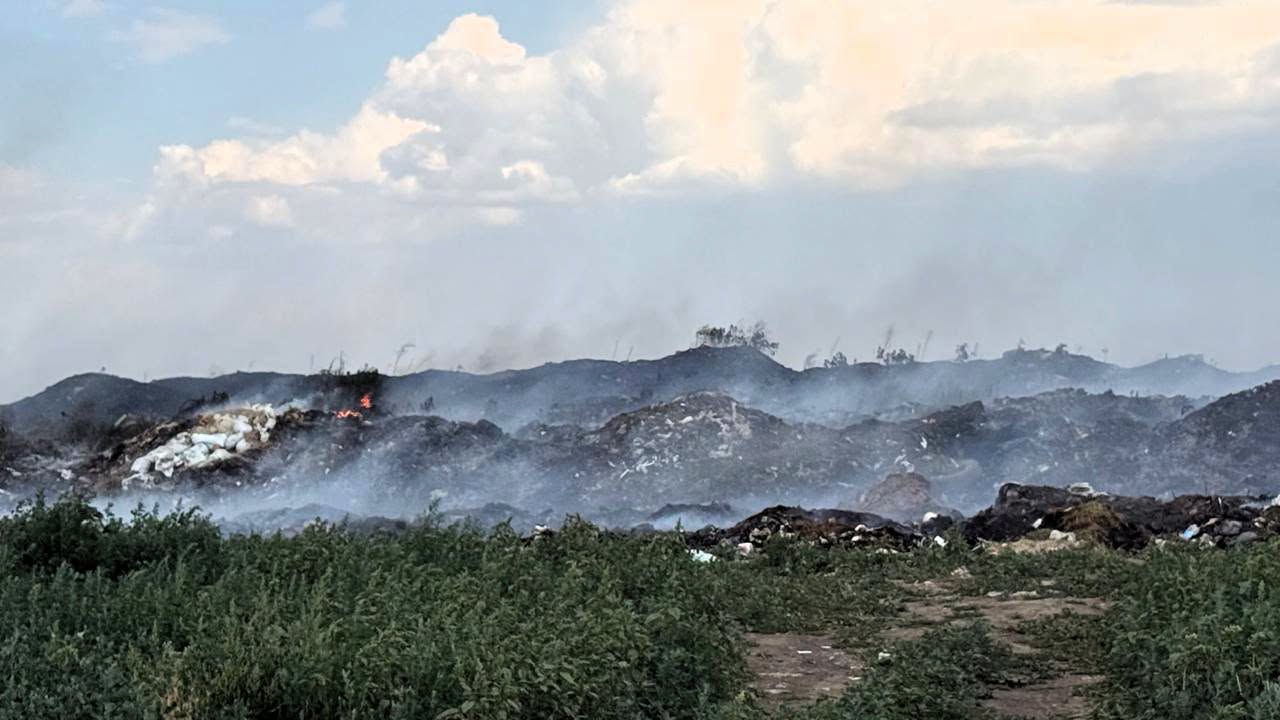На Одещині загорілося сміттєзвалище: вогонь перекинувся на ліс На Одещині загорілося сміттєзвалище: вогонь перекинувся на ліс