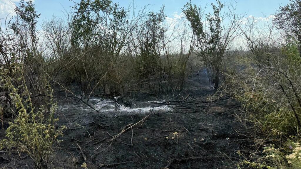 На Одещині загорілося сміттєзвалище: вогонь перекинувся на ліс На Одещині загорілося сміттєзвалище: вогонь перекинувся на ліс