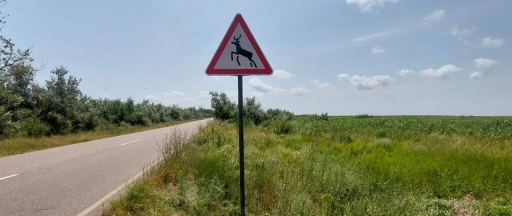 На Одещині встановили знаки «Дикі тварини»: задля безпеки водіїв та збереження природи В Одесской области установили знаки «Дикие животные»: ради сохранения природы