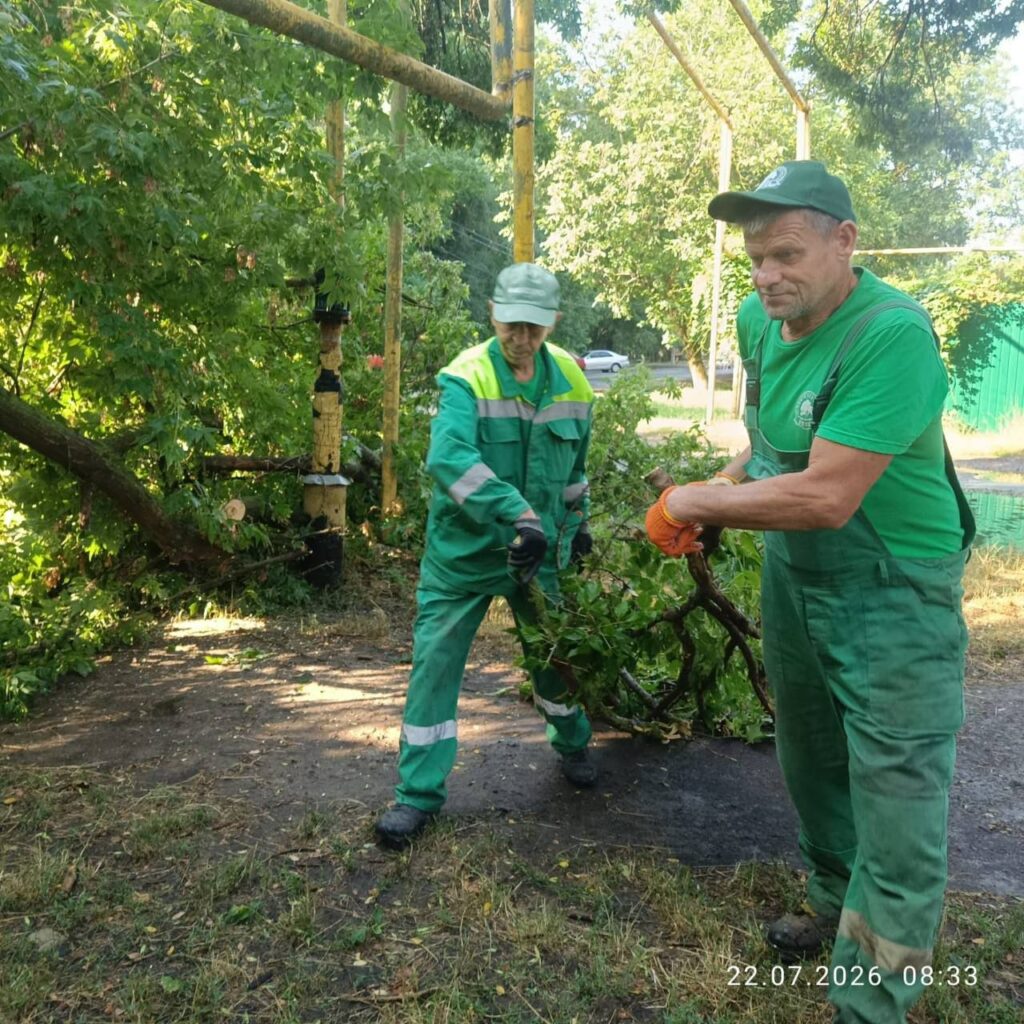 Ліквідація наслідків негоди в Одесі: комунальники прибирають повалені дерева