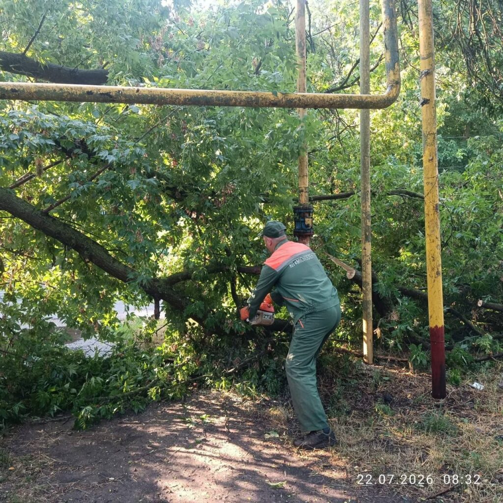 Ліквідація наслідків негоди в Одесі: комунальники прибирають повалені дерева