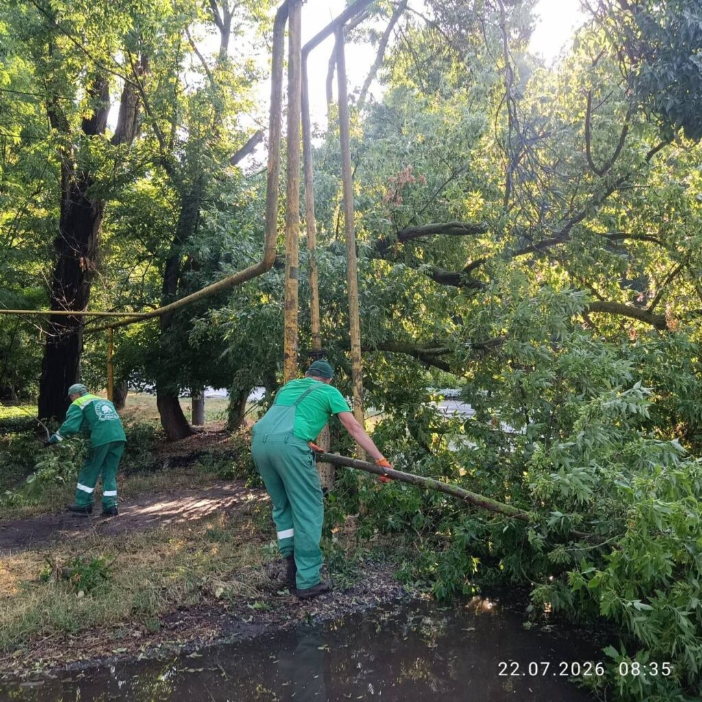 Ліквідація наслідків негоди в Одесі: комунальники прибирають повалені дерева