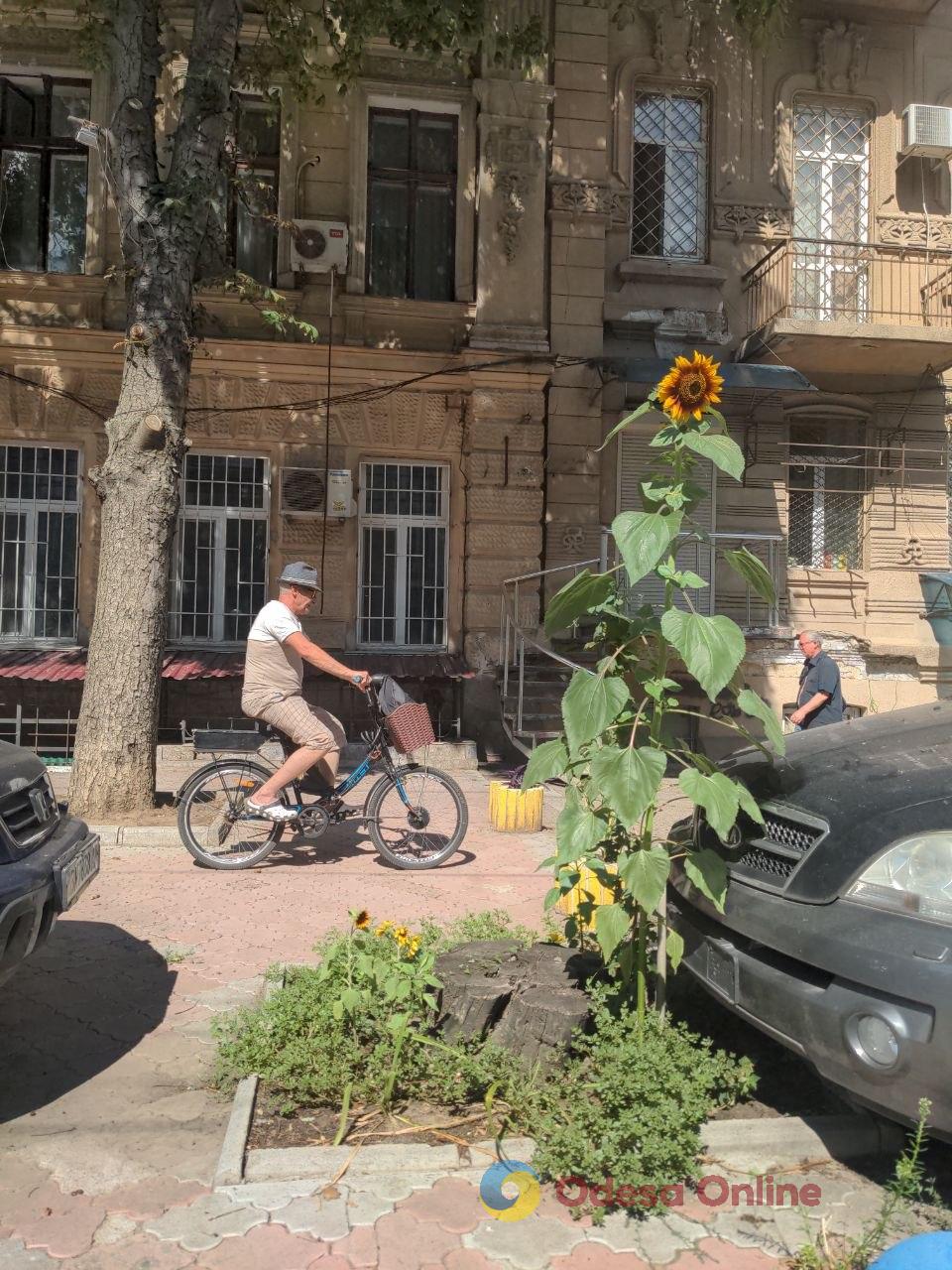 Ворожі атаки, негода та сильний запах диму: як минув тиждень в Одесі та області Ворожі атаки, негода та сильний запах диму: як минув тиждень в Одесі та області