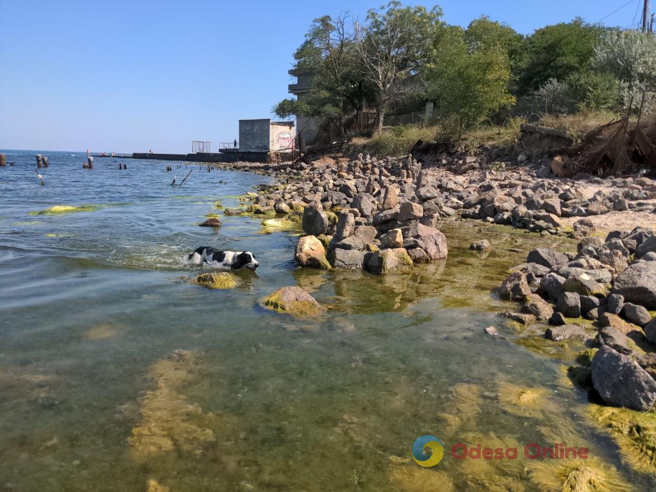 Під звук сирен: як відпочивають в Одесі у п’яте літо повномасштабної війни Під звук сирен: як відпочивають в Одесі у п’яте літо повномасштабної війни