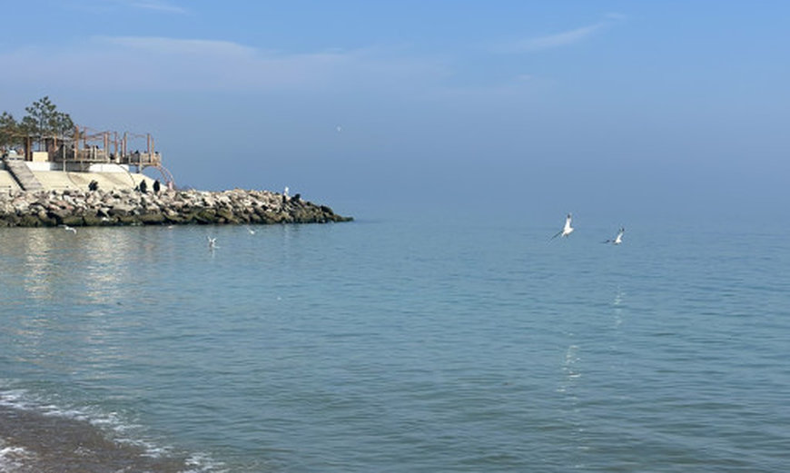 Морська вода на семи пляжах Одеси відповідає гігієнічним вимогам