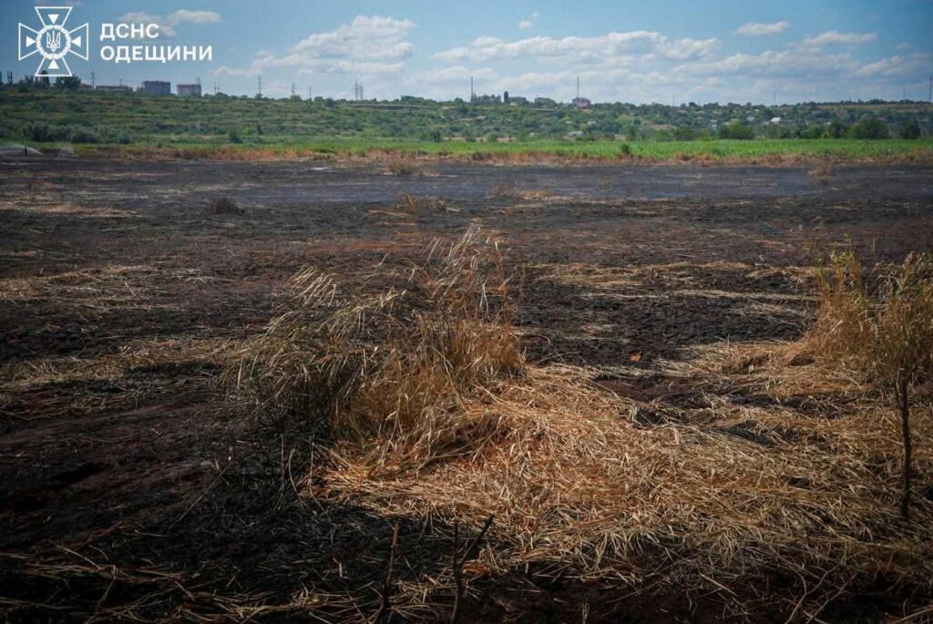 Тління на полях зрошення: чому Одесу накриває запах гару і чим це небезпечно